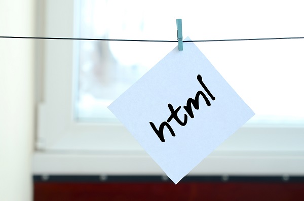 Como Mudar a Raiz do Site WordPress de Forma Segura. Fonte: Envato